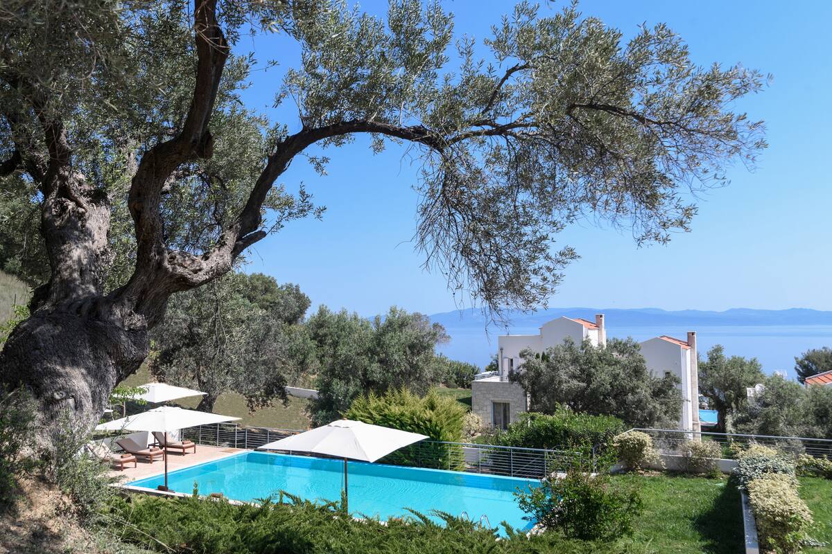 A swimming pool with lounge chairs and umbrellas, surrounded by trees and a view of the sea.