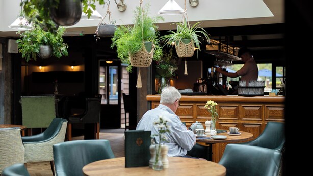 Un hombre sentado en una mesa en un café, con plantas colgantes, muebles de madera y una barra al fondo.