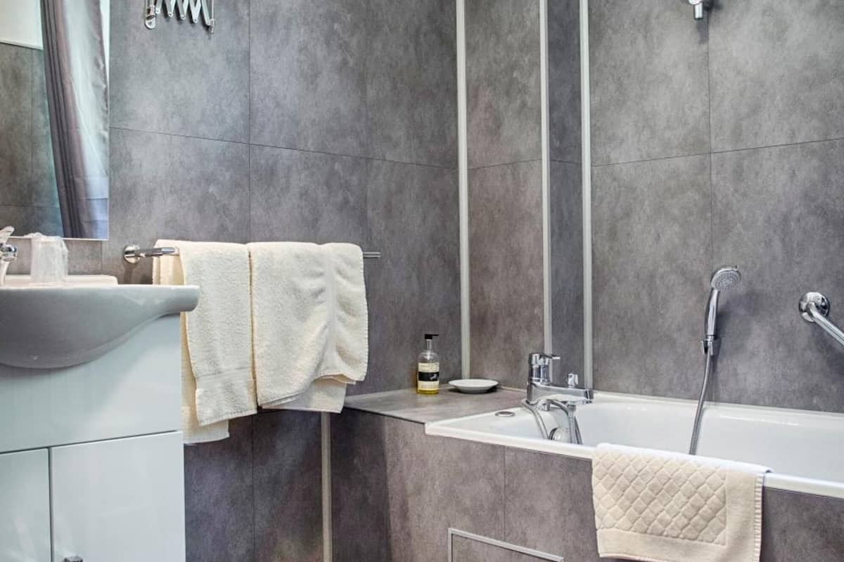 combined shower/bathtub, free toiletries, hair dryer, bidet