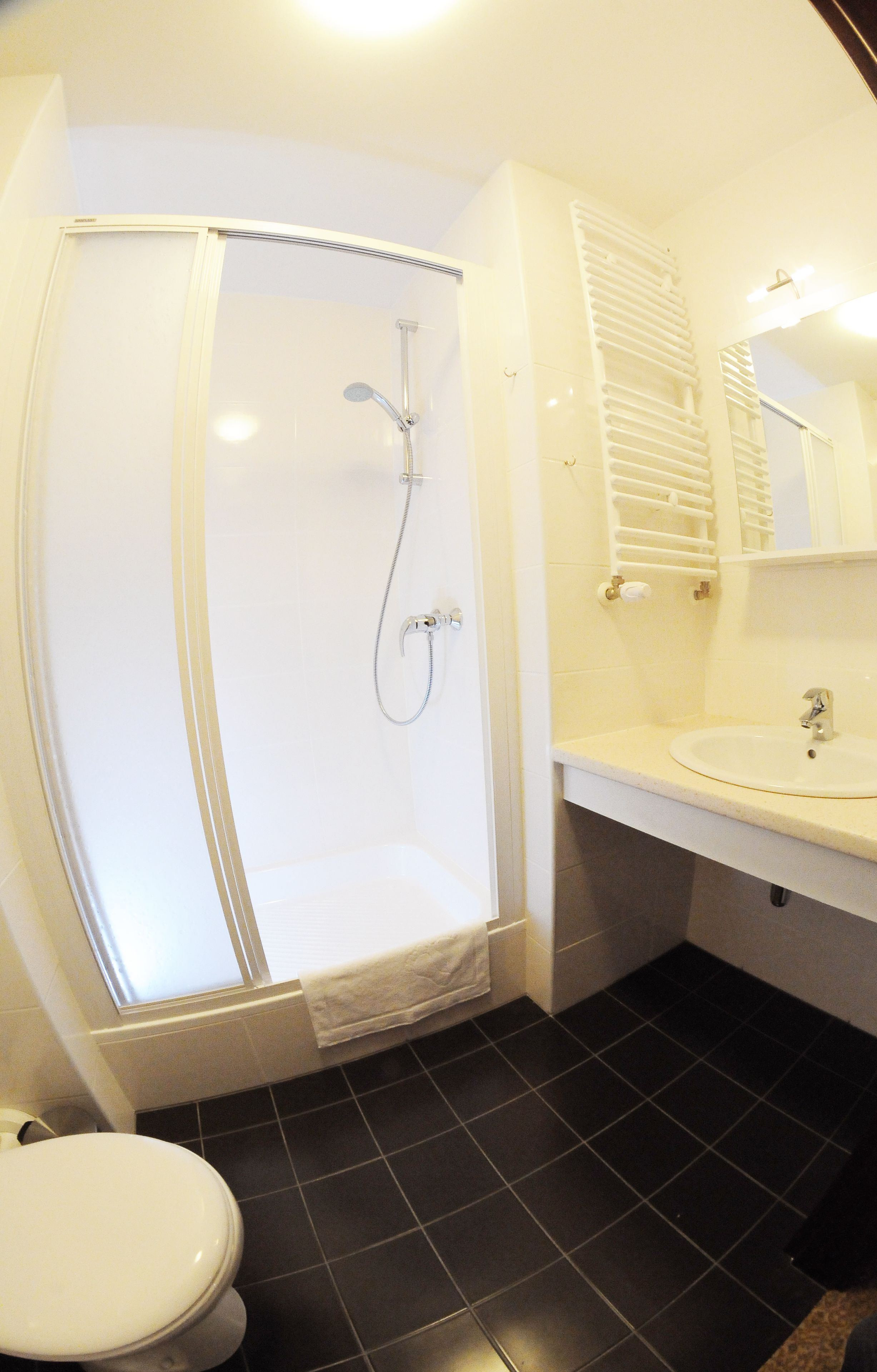 single room | bathroom | shower, free toiletries, hair dryer, towels