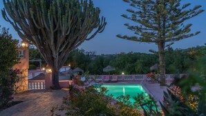 Ein Poolbereich mit einem großen Baum und einer Kiefer, umgeben von einem Zaun und Liegestühlen.