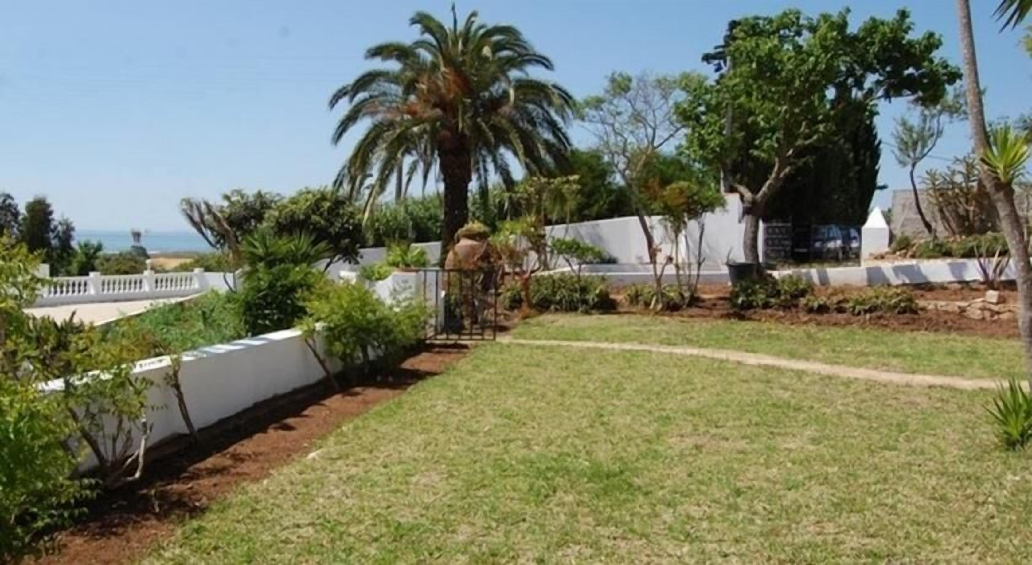 A landscaped garden with a palm tree, various shrubs, and a white wall.