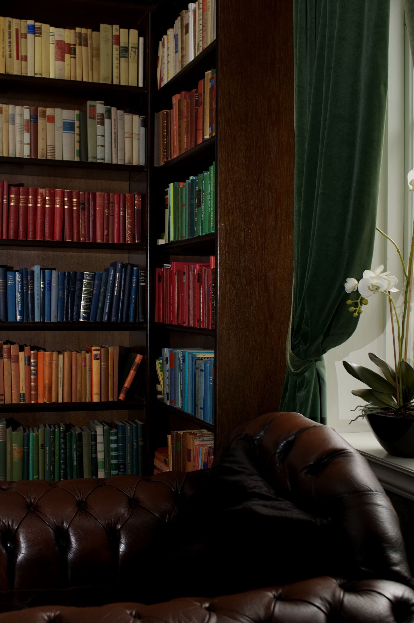 Un sillón de cuero frente a una estantería llena de libros.