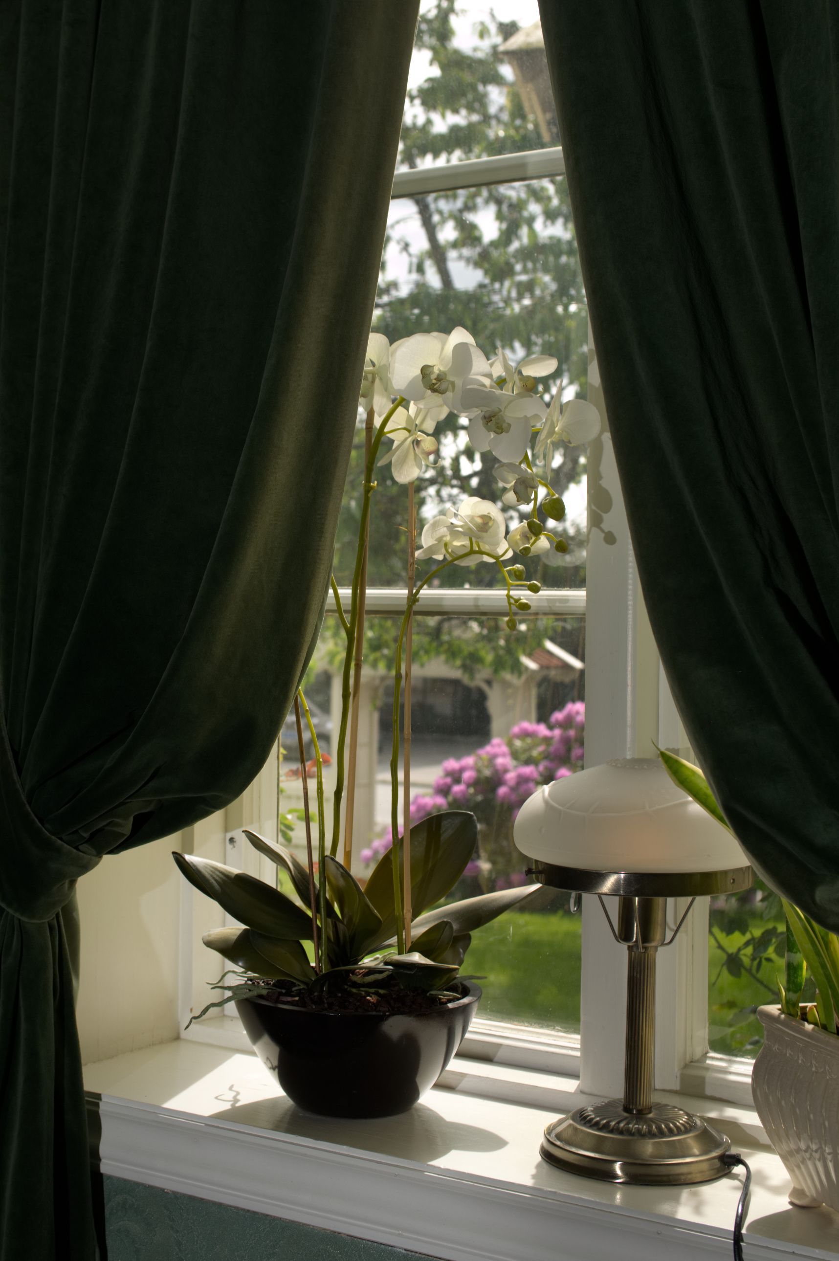 Ein Fenster mit einem Blumentopf und einer Lampe auf dem Fensterbrett.