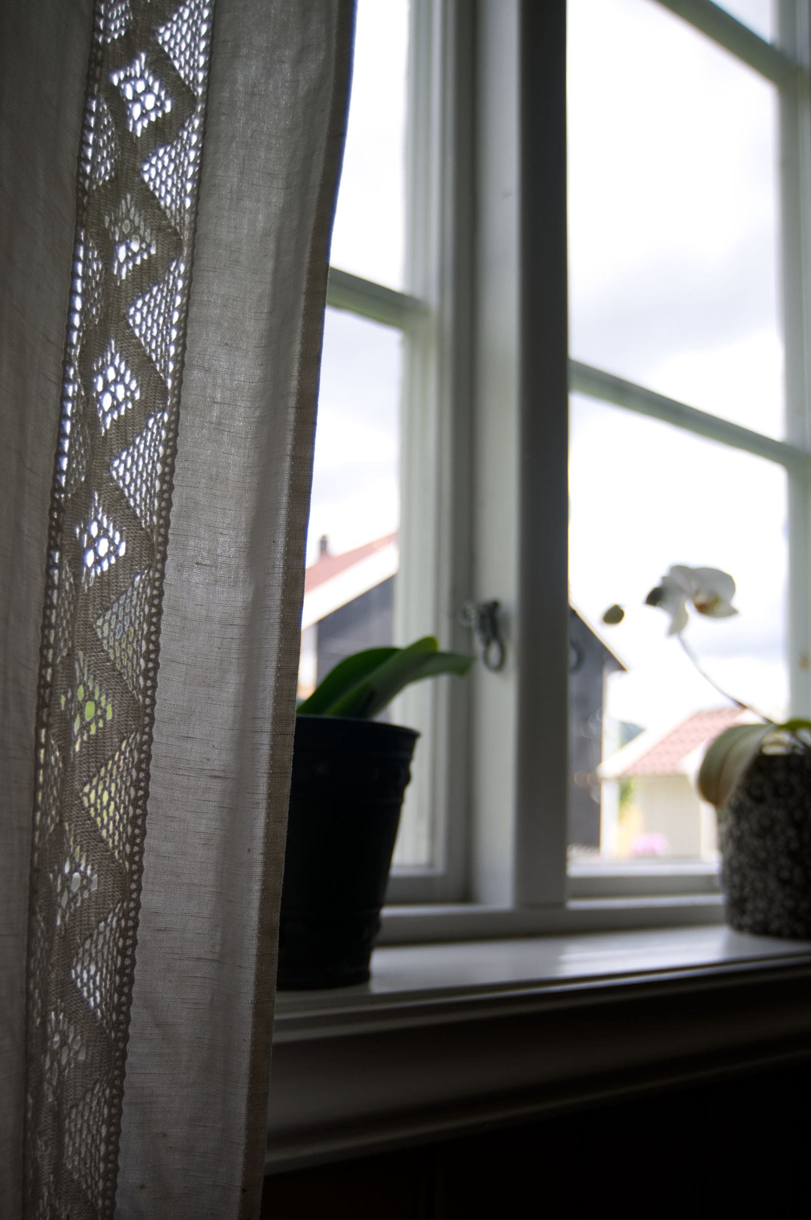 Una ventana con cortina de encaje, una planta en maceta y una orquídea en el alféizar.