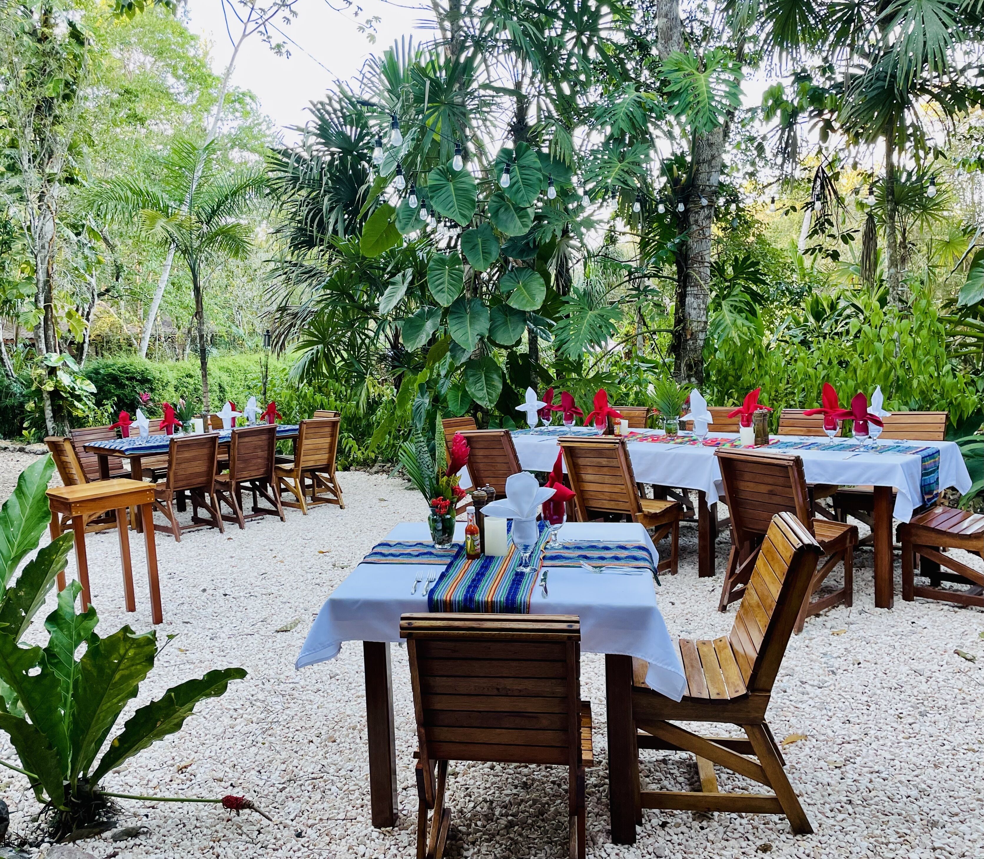 An outdoor dining area with tables set for two, surrounded by lush greenery and palm trees.