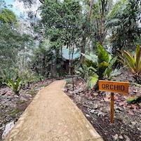 Un sendero atraviesa un jardín exuberante, con un cartel que indica el camino hacia la sección de orquídeas.