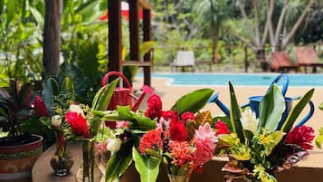 Hồ bơi ngoài trời, dù/ô trên bãi biển/hồ bơi, ghế dài tắm nắng