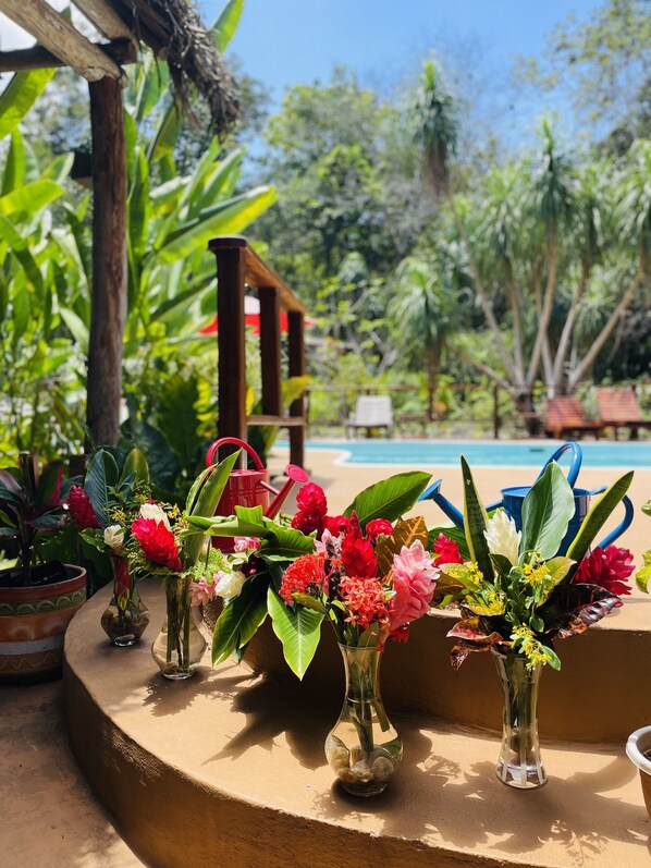 A series of vases with flowers on a curved ledge, a wooden structure, and a pool in the background.