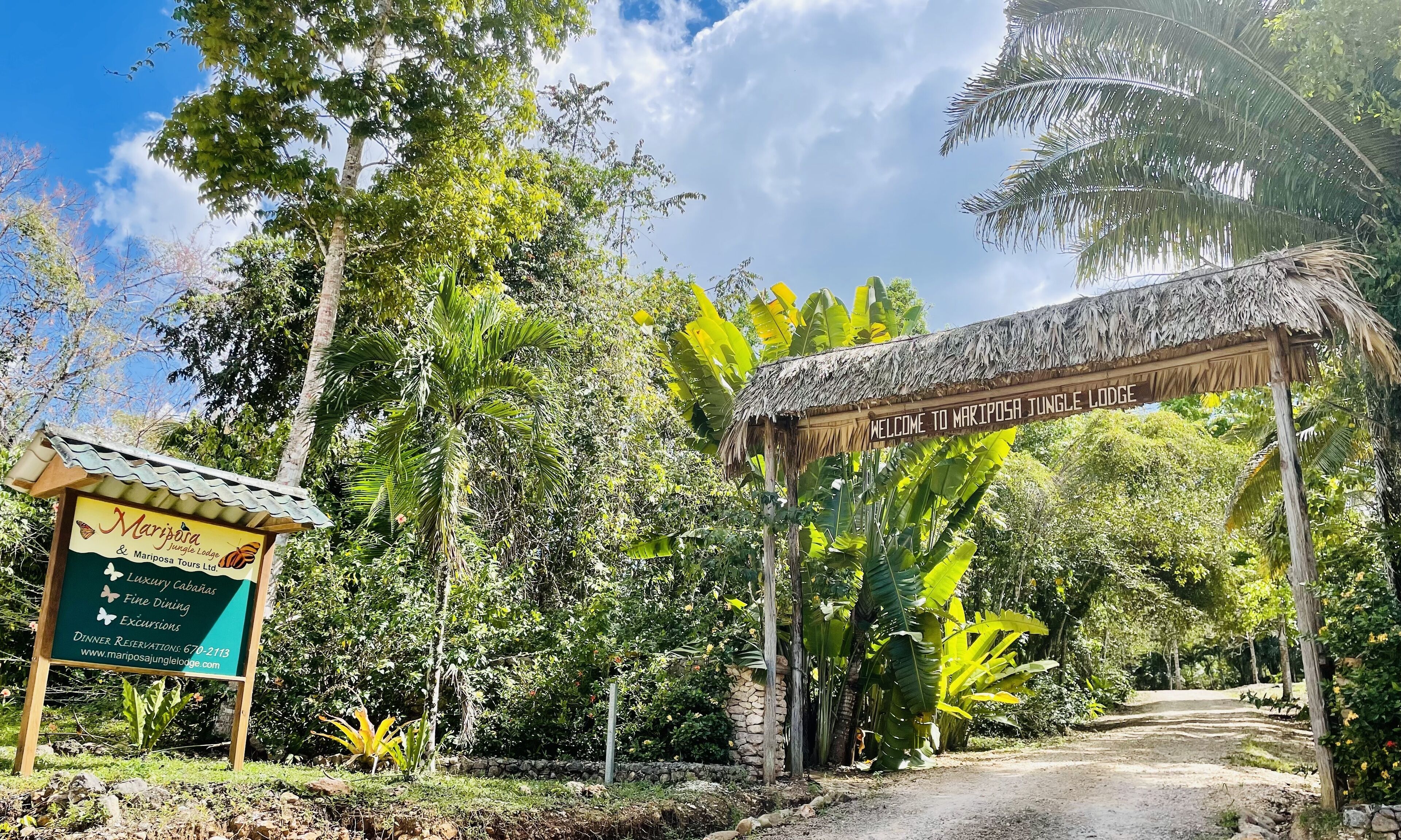 A jungle lodge entrance with a thatched roof sign, a signboard for Mariposa Jungle Lodge, and lush greenery.