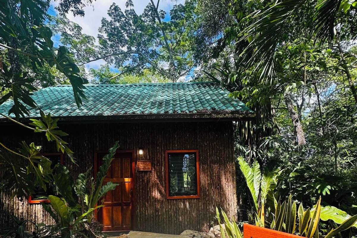 Iguana - Family Treehouse Grand Cabana | Ropa de cama de alta calidad y caja de seguridad en la habitación 