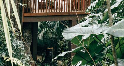 Mariposa Jungle Lodge