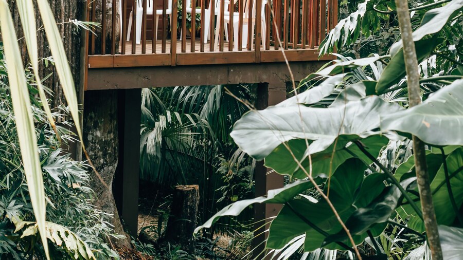 Mariposa Jungle Lodge