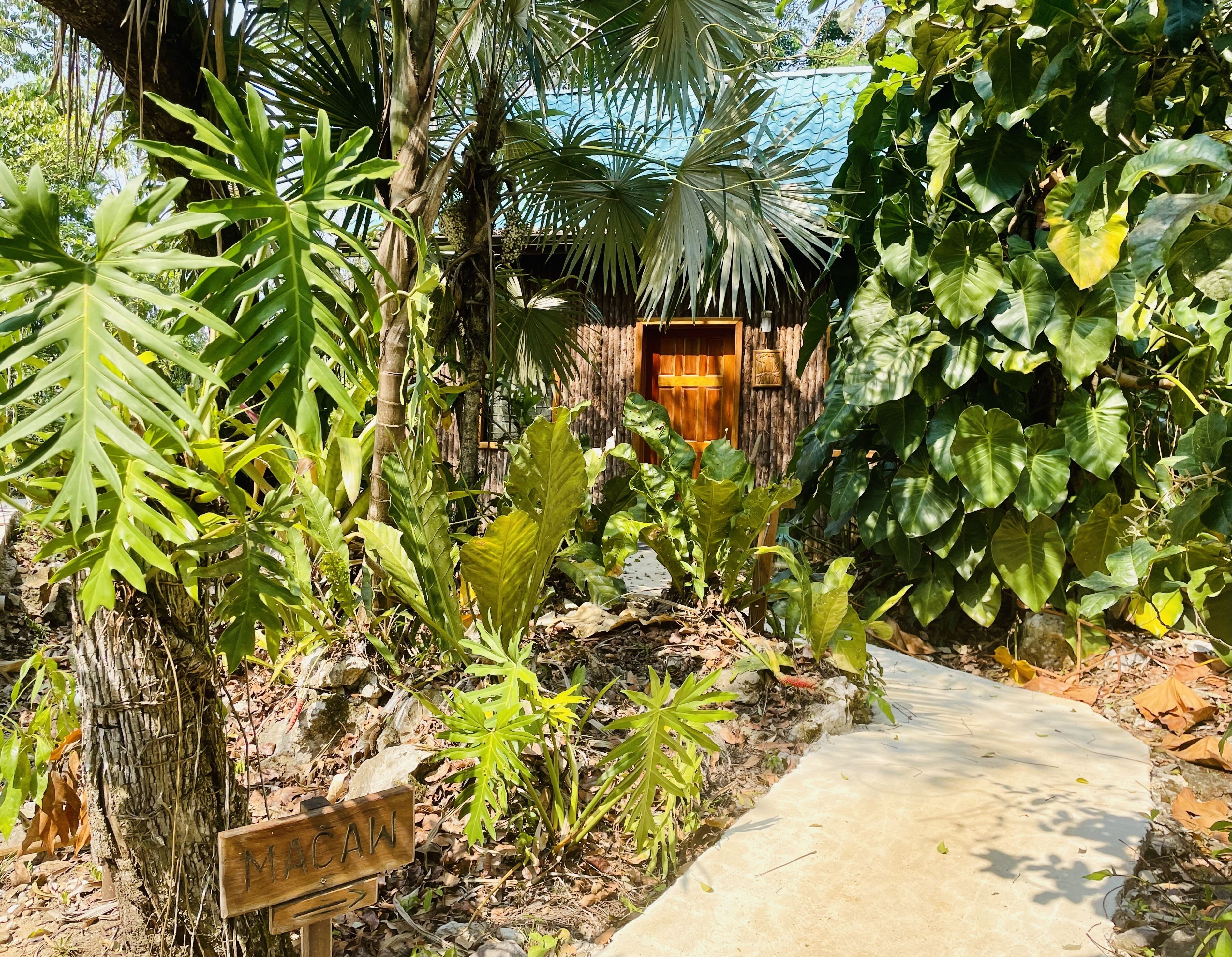 Macaw - Family Grand Cabana | Terrace/patio