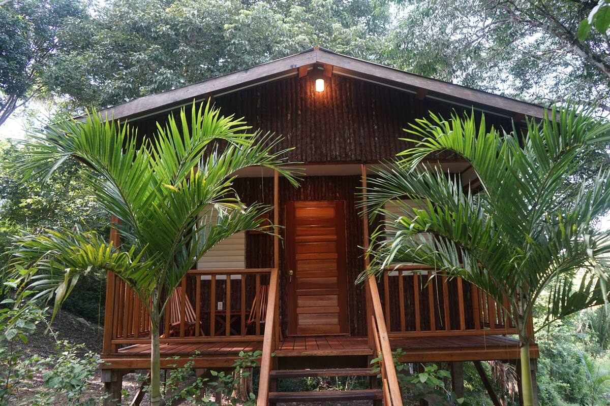 Uma cabana de madeira com varanda, rodeada por vegetação tropical.