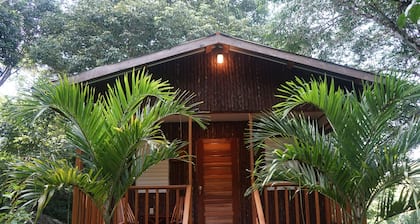 Mariposa Jungle Lodge