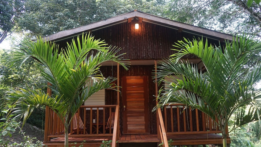 Mariposa Jungle Lodge