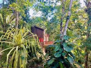 Iguana - Family Treehouse Grand Cabana | Terrace/patio
