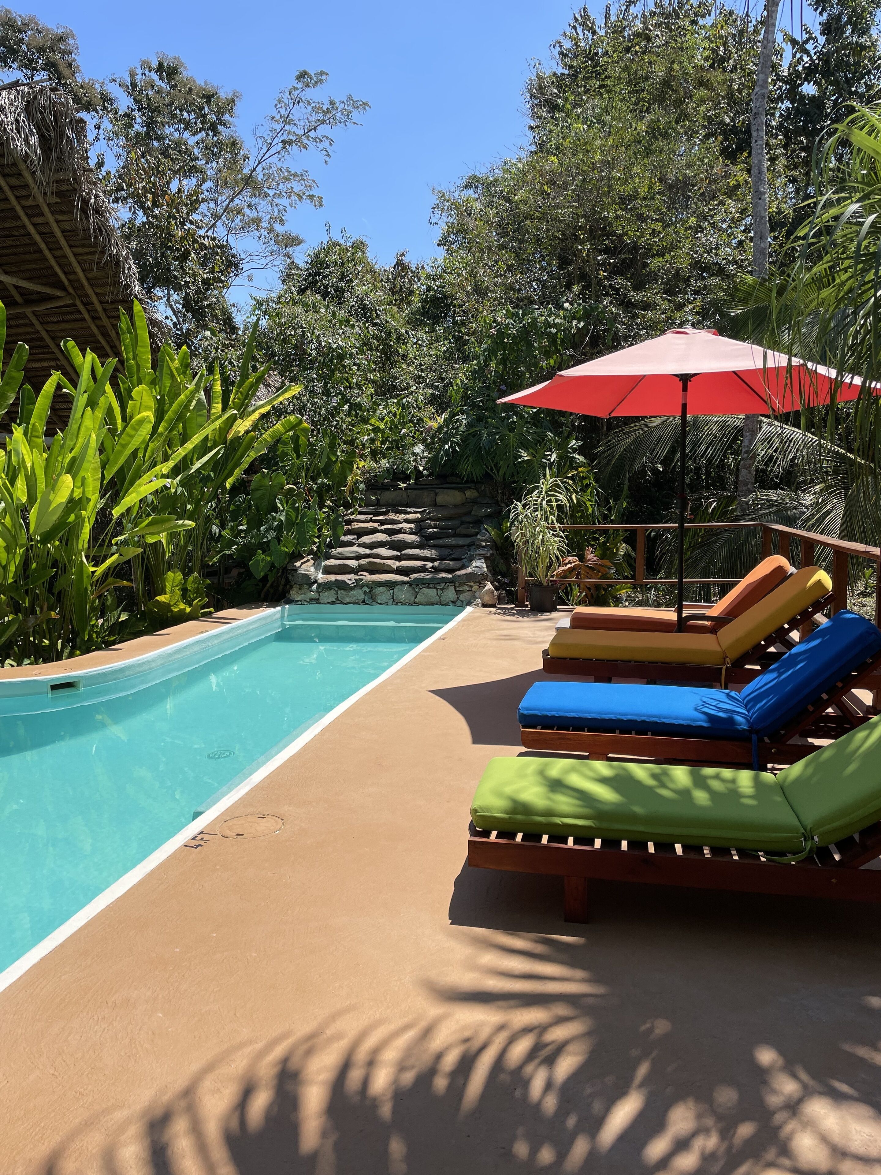 Outdoor pool, pool umbrellas, pool loungers