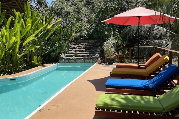 Piscine extérieure, parasols de plage, chaises longues