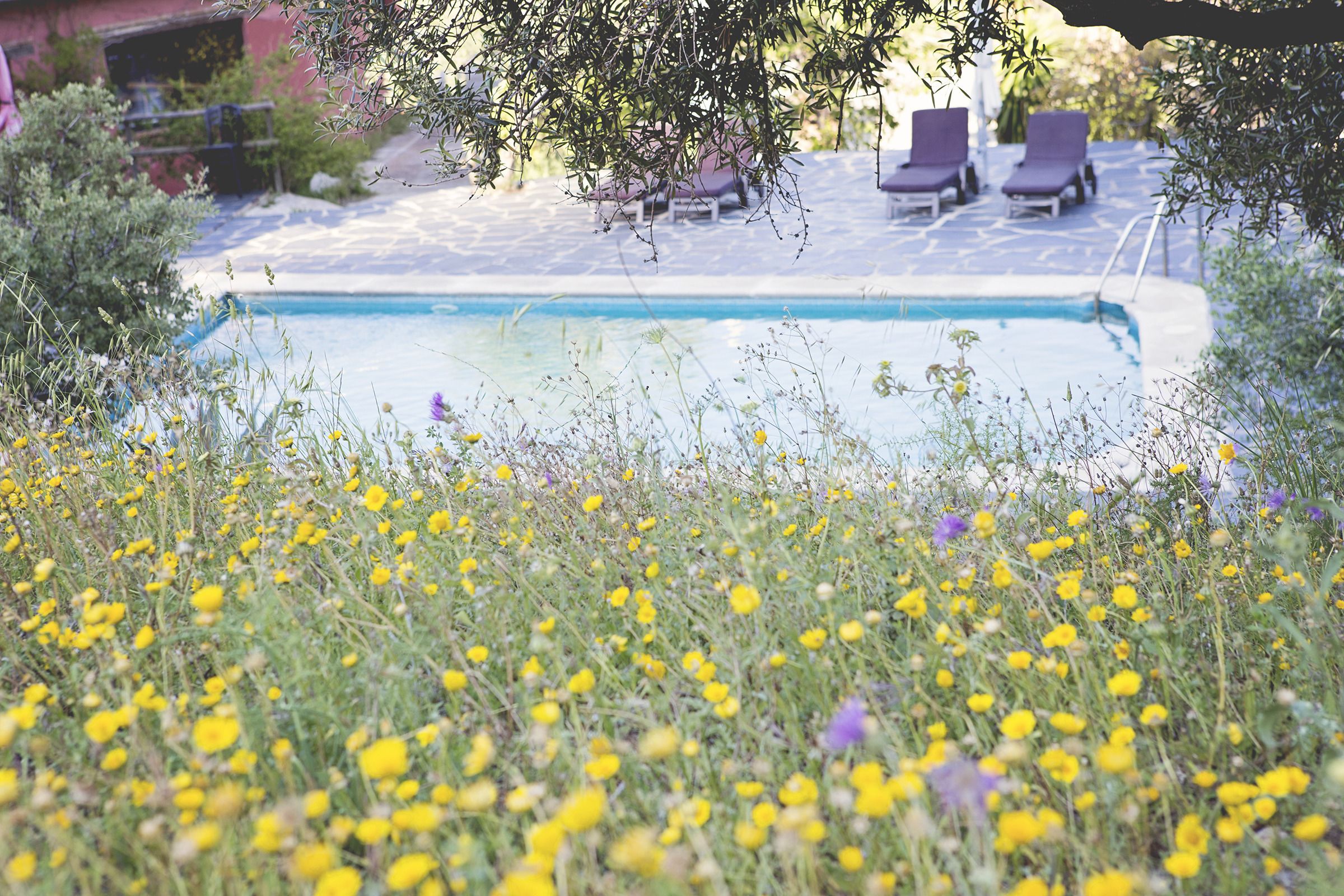 outdoor pool, pool umbrellas, pool loungers