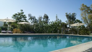 Outdoor pool, pool umbrellas, pool loungers