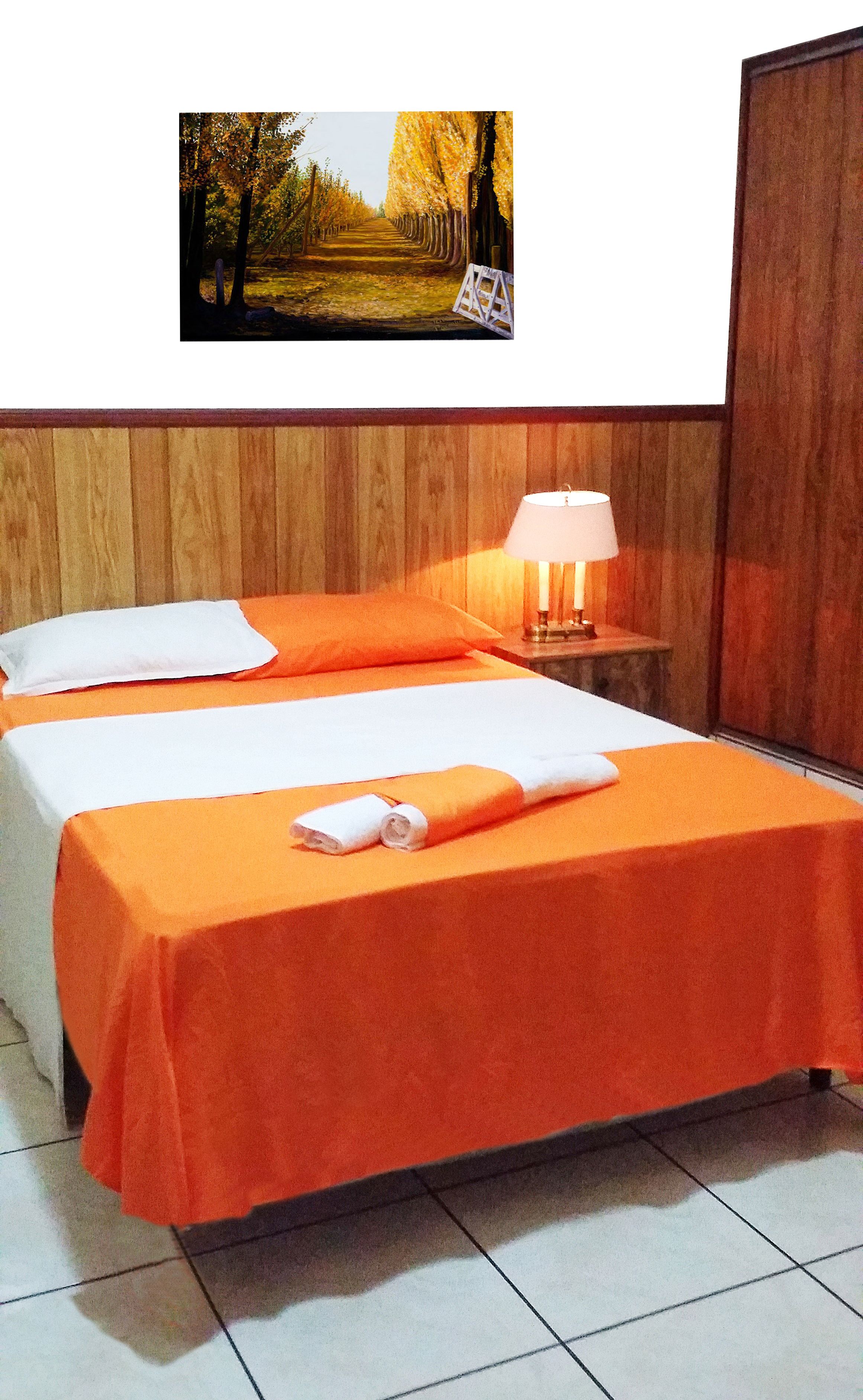 single room | 1 bedroom, desk, iron/ironing board, free wifi