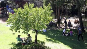 Vista desde la habitación