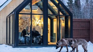 Una struttura moderna in vetro con rivestimento in legno, un interno visibile con camino e legna, e due cani all'esterno.