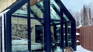 Una moderna casa in vetro con interni in legno e un cane all'esterno.