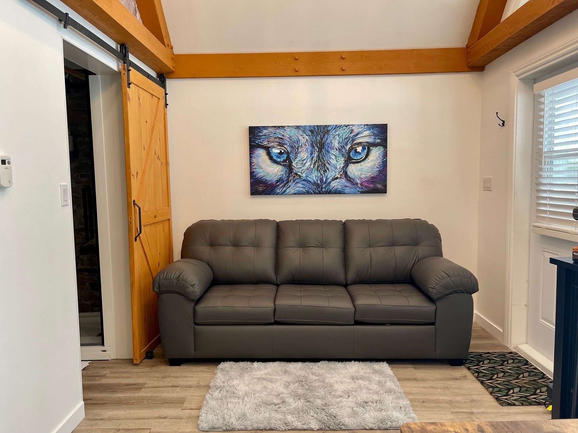 Un salón con un sofá gris, una alfombra mullida y un cuadro colgado en la pared de un rostro de gato.