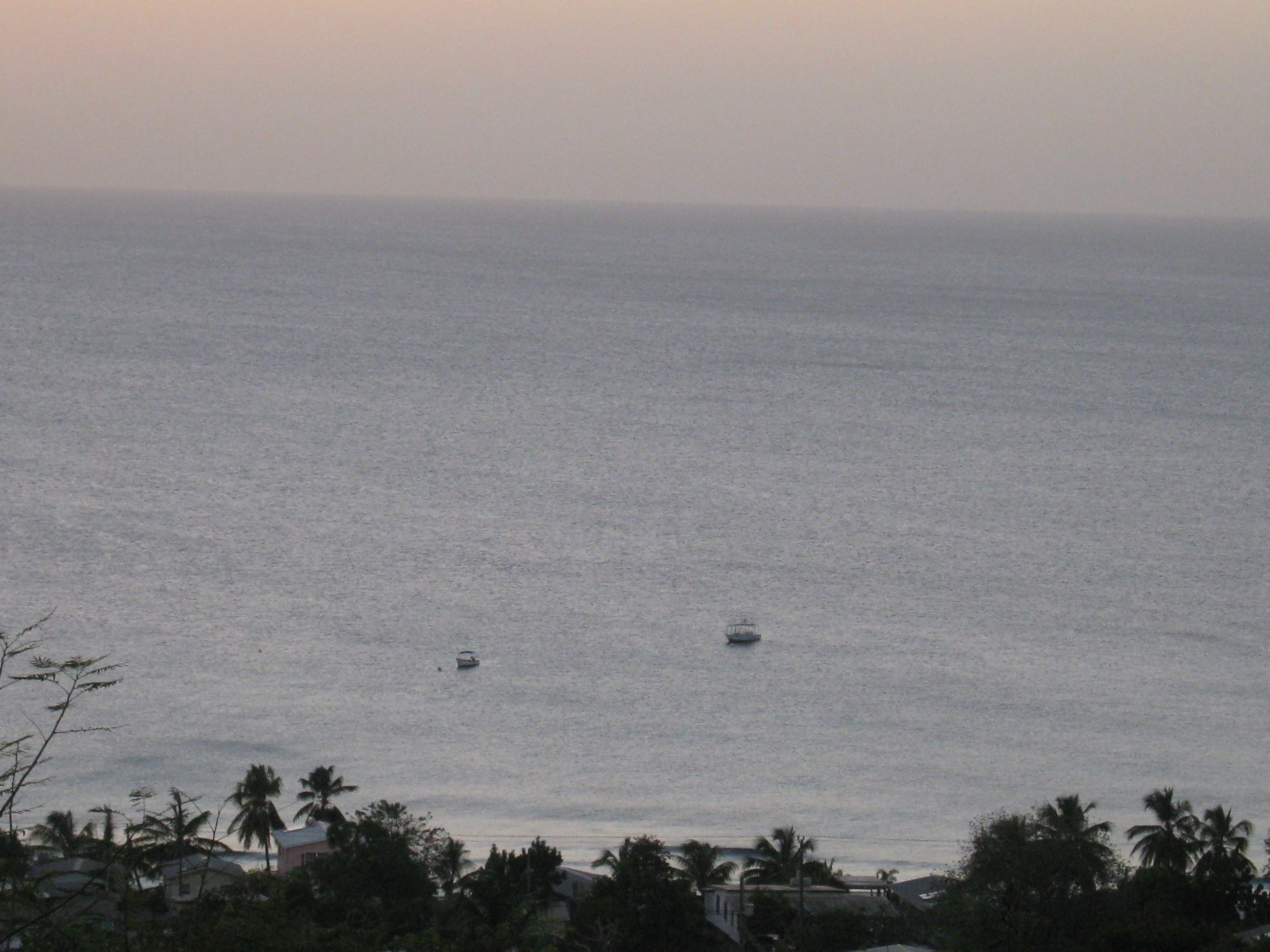 A coastal view with two boats on the water and palm trees in the foreground.