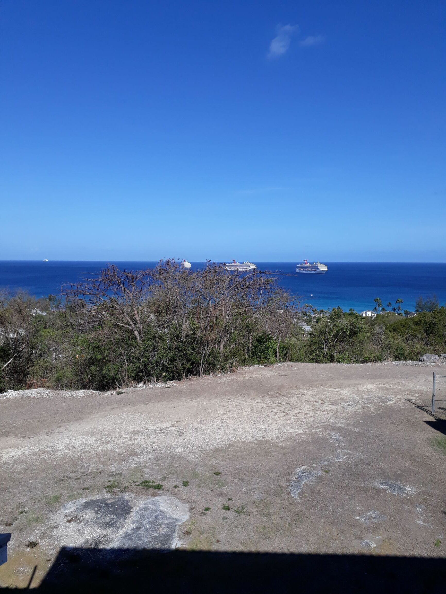 A coastal view with a dirt path leading to the sea, a few trees, and a clear blue sky.