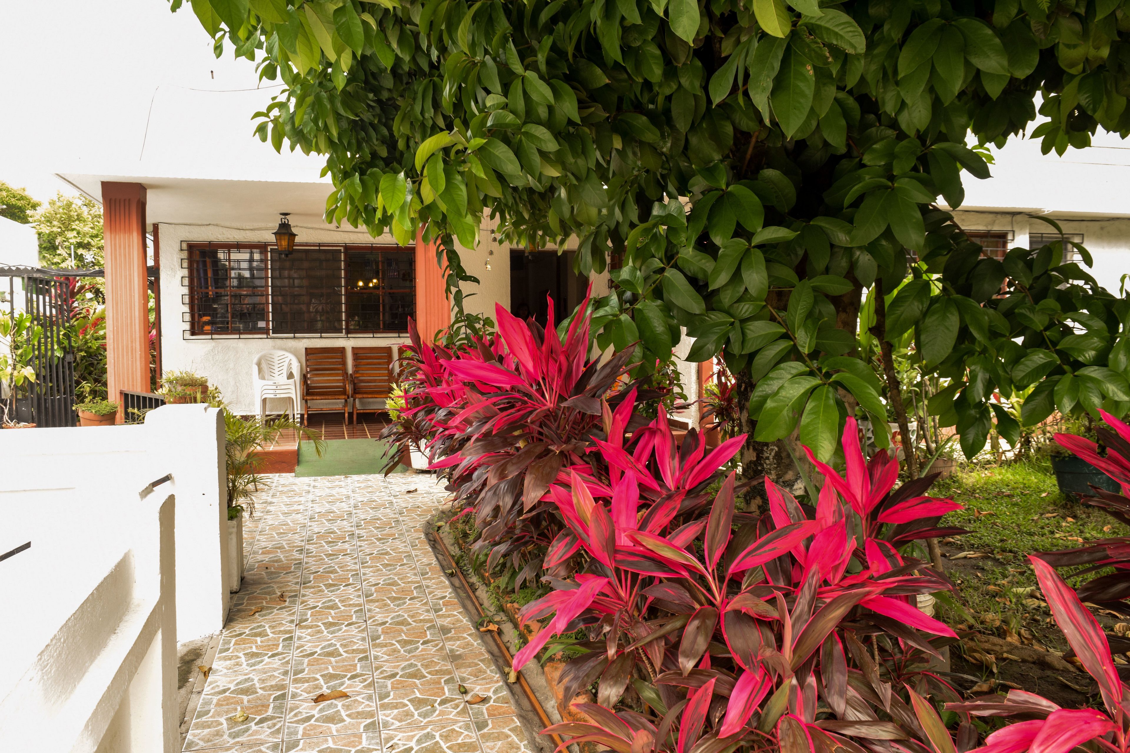 Foto - Hotel San José de la Montaña