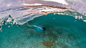 Una persona nada bajo el agua con una tortuga, rodeada de agua cristalina y una playa visible al fondo.
