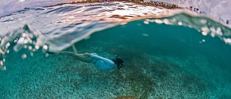 Una persona nada bajo el agua con una tortuga, rodeada de agua cristalina y una playa visible al fondo.