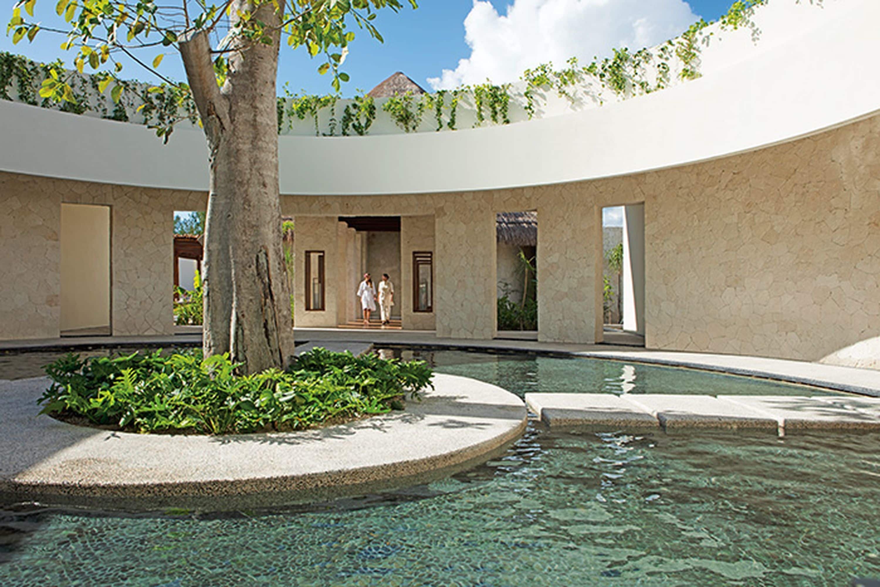 A pool area with a tree, a clear sky, and a building with multiple doors and windows.