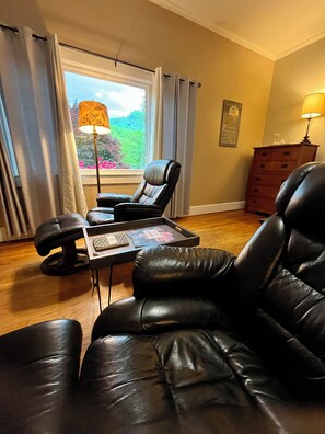 Luxury Room, 1 King Bed, Non Smoking, Mountain View (Pet Friendly) | Living area | 40-inch flat-screen TV with digital channels, TV, DVD player - Grafton Lodge (Lake Lure)