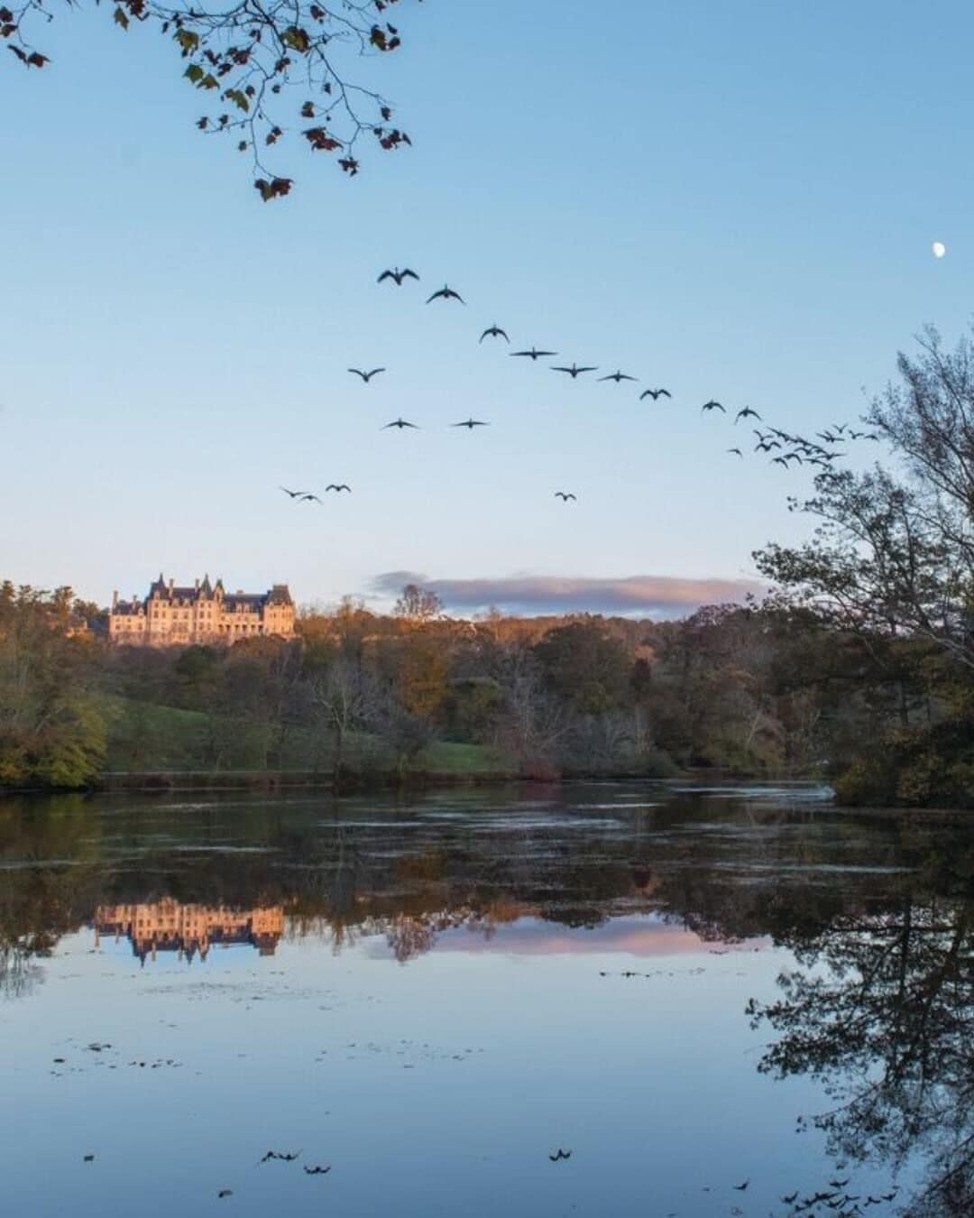 Un lago tranquilo que refleja un edificio y árboles.