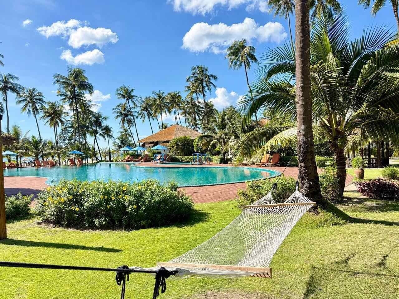 A pool area with a hammock, palm trees, and a clear sky.