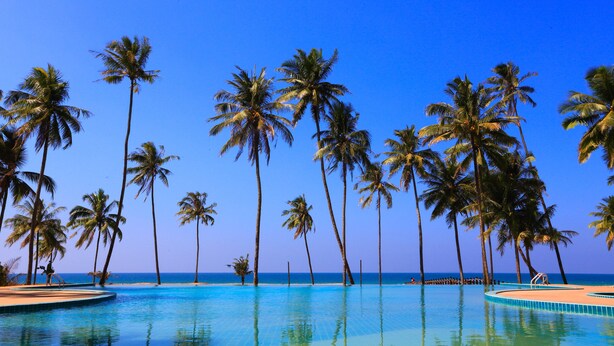 A clear blue sky, a pool surrounded by palm trees, and the ocean in the background. - Eskala Hotels & Resorts Ngwe Saung (Ngwe Saung)