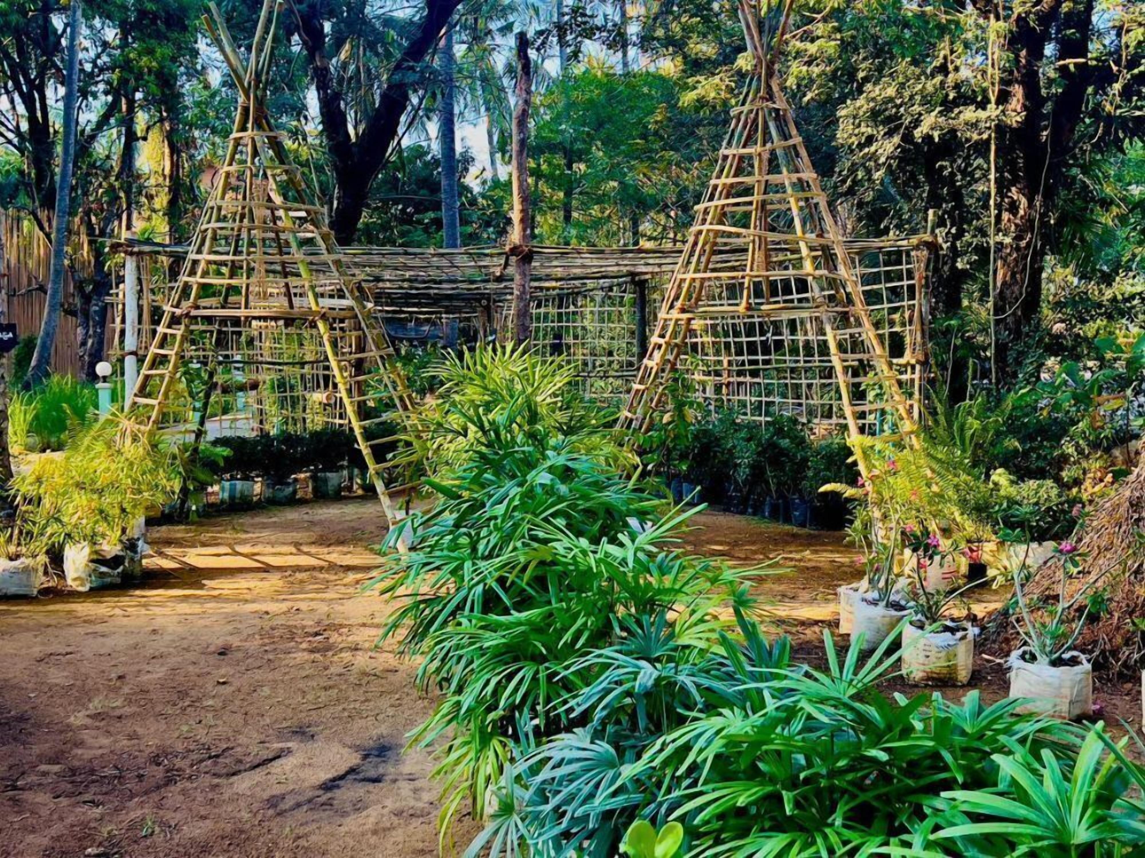 A garden with a central bamboo structure, surrounded by various potted plants and trees.