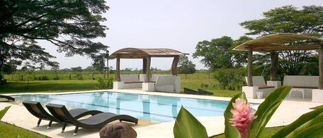 Outdoor pool, pool loungers