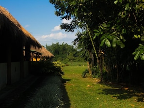 Property grounds - Cinaruco Caney (Villavicencio)