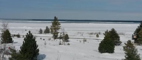 A snowy landscape with sparse trees and a clear sky.