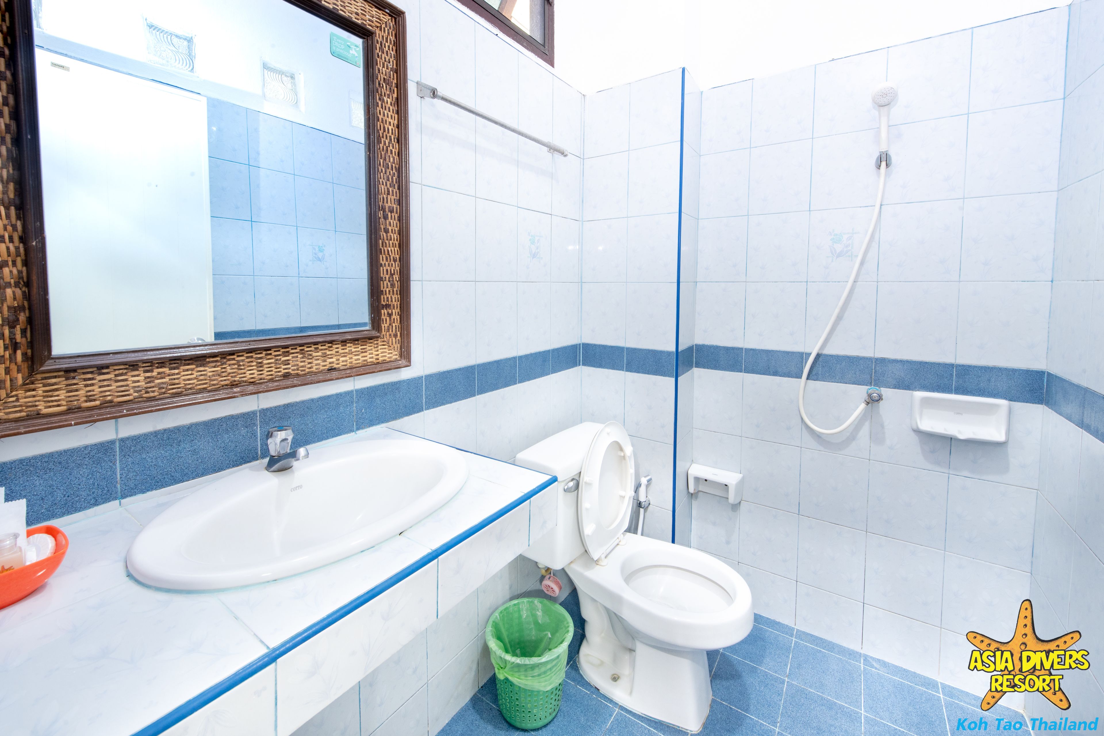 Une salle de bain avec un lavabo, des toilettes et une douche.