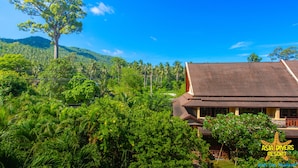 A resort with a large tree and lush greenery in the foreground, a building with a tiled roof, and a clear blue sky. - Asia Divers Resort (Koh Tao)