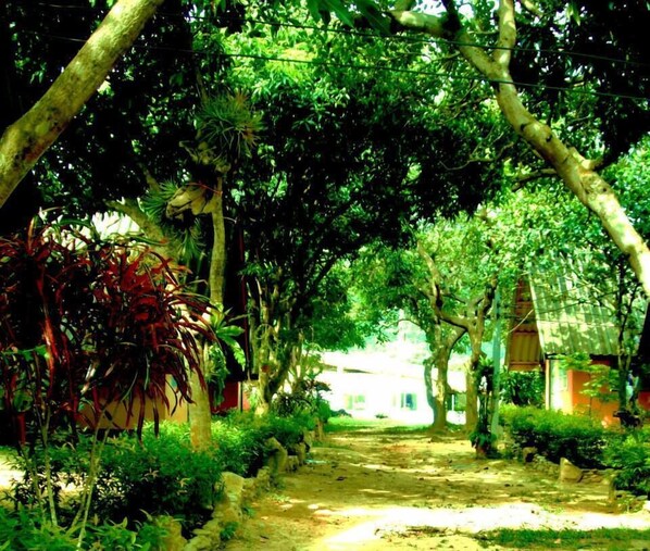 Garden - Cashewnut Tree Bungalows (Ko Lanta)