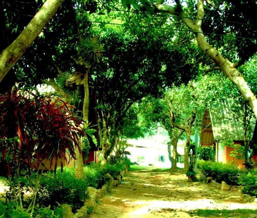 Cashewnut Tree Bungalows