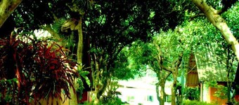 Cashewnut Tree Bungalows